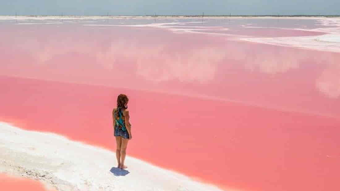 Coloradas2