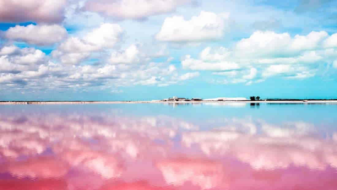 Coloradas5